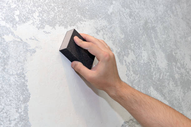 Best Mold Documentation for Insurance Claims  in Tracyton, WA
